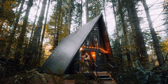 alt-text a wooden house standing amidst a forest